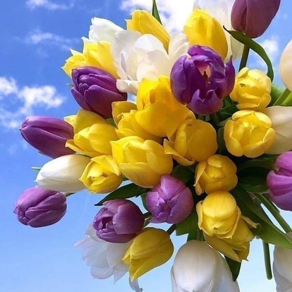 Make me an Offer - Picture 4 of 8